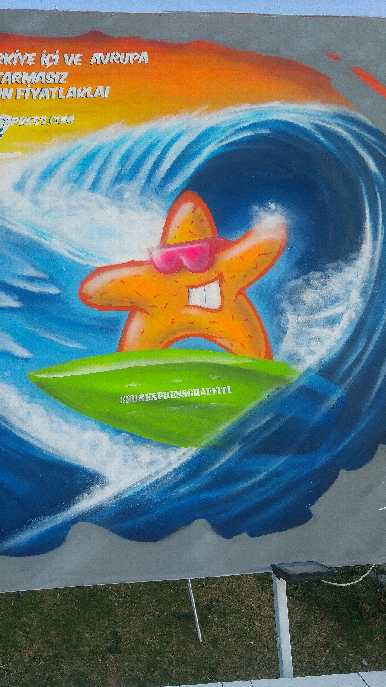 surfing starfish